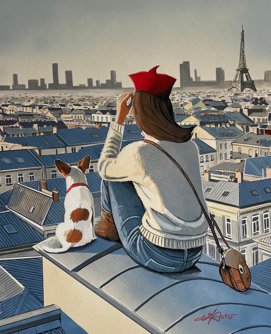 Sur les toits de Paris